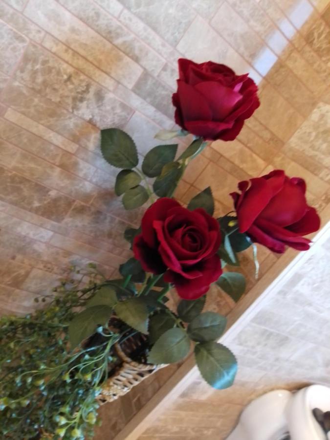 Отель Casa Maria Roses Рышнов Экстерьер фото